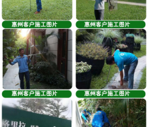 蛇患知識培訓(xùn)